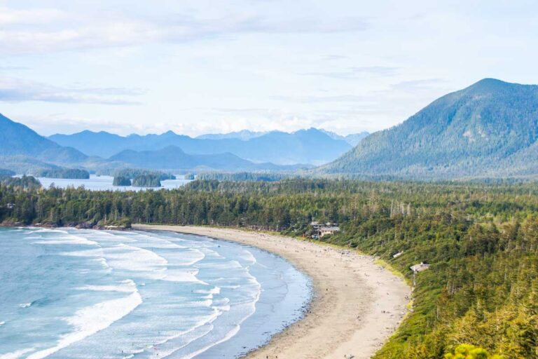 View from Cox Bay Lookout, Tofino