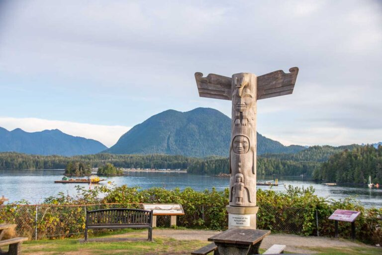 View of Tofino Bay from a viewpoint with a totem pole