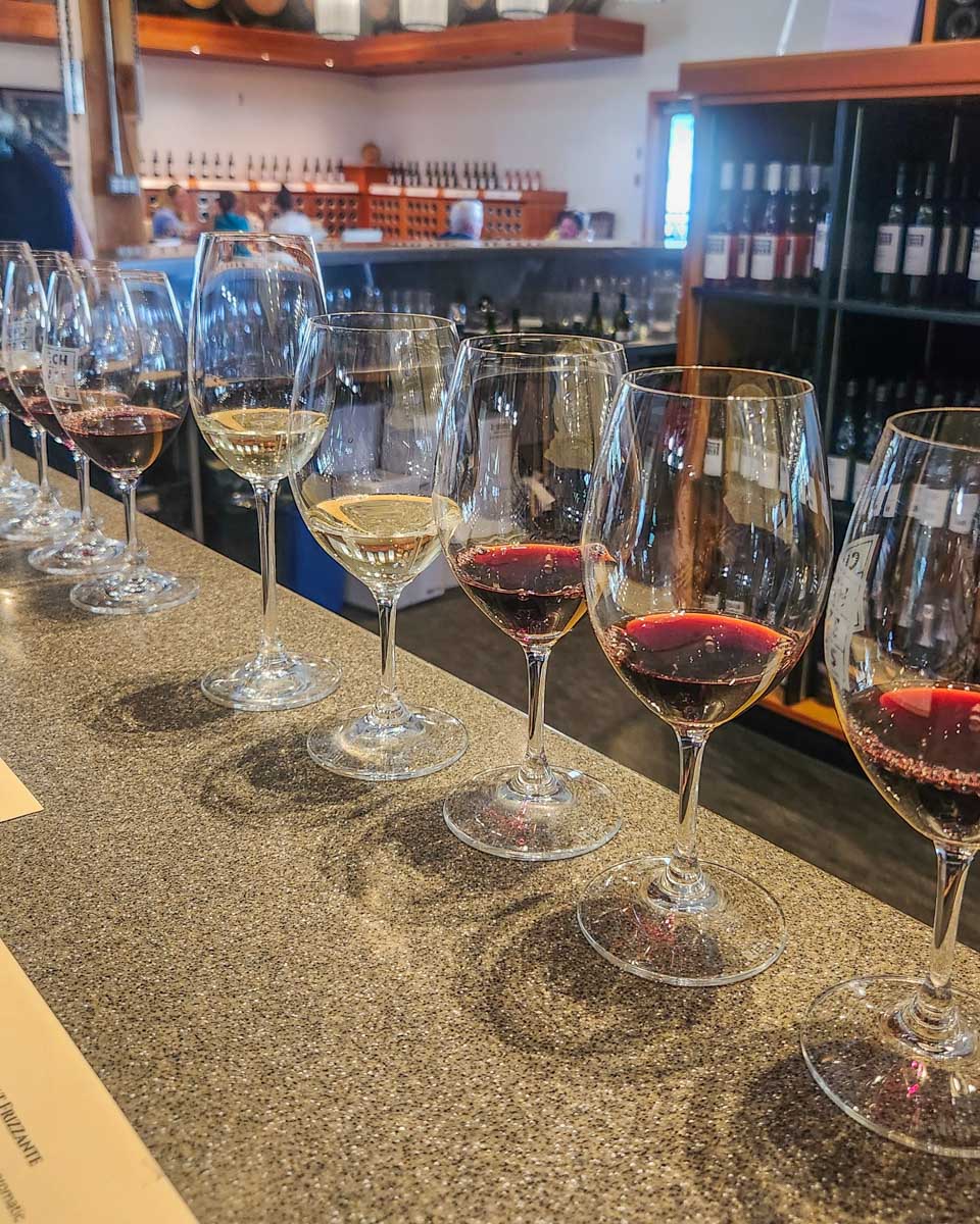 Wine tasting in Duncan, BC
