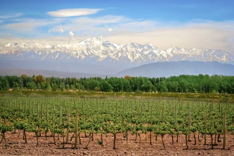 Winery with mountain backdrop in Mendoza, Argentina