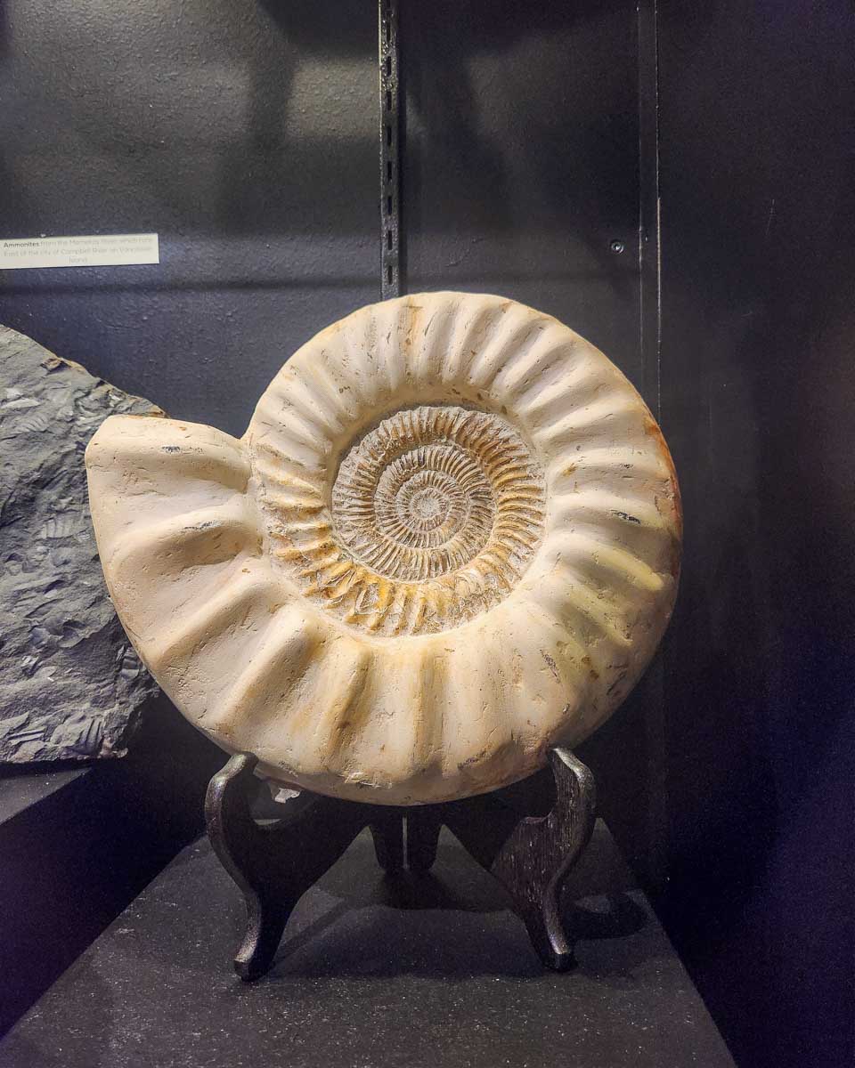 A fossil at the Qualicum Museum, Qualicum Beach