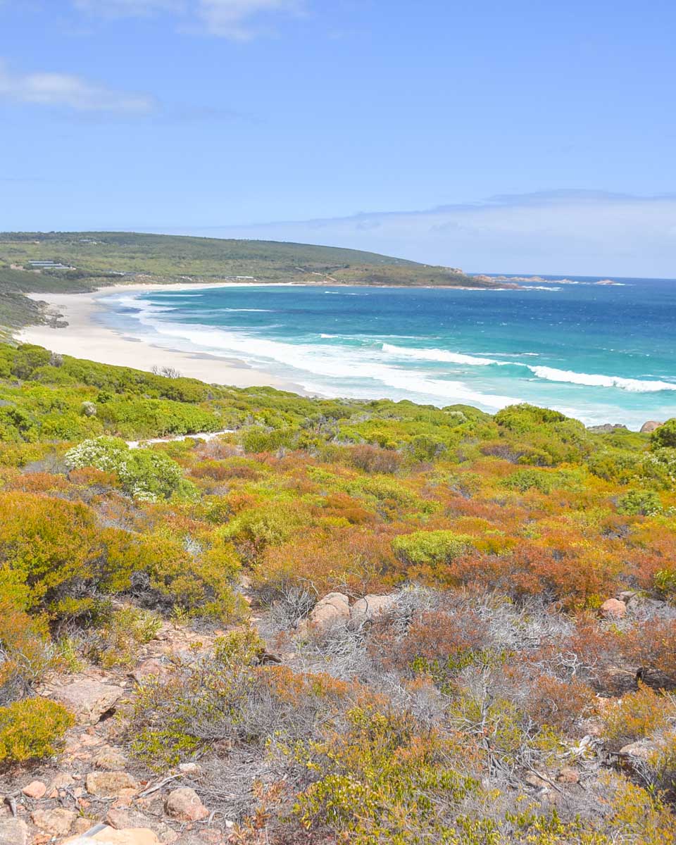 A view of the coast in Margaret River, Australia