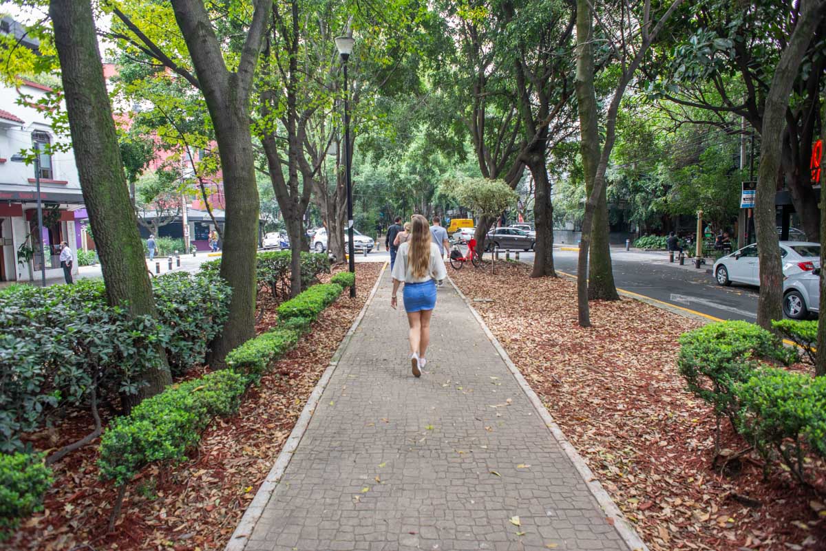 Bailey walks around Mexico City alone