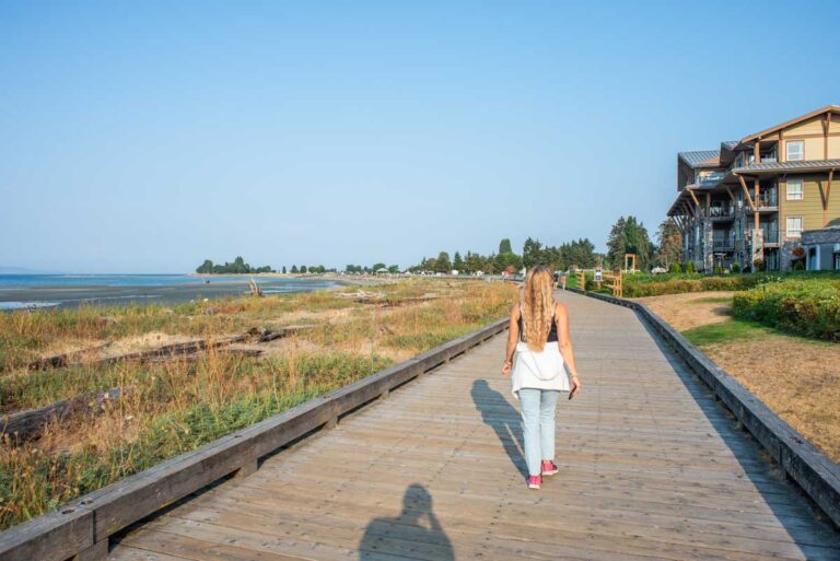 Bailey walks the waterfront in Parksville, Vancouver Island