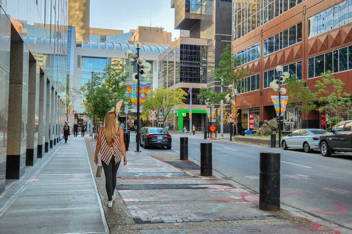 Bailey walks through Downtown Calgary