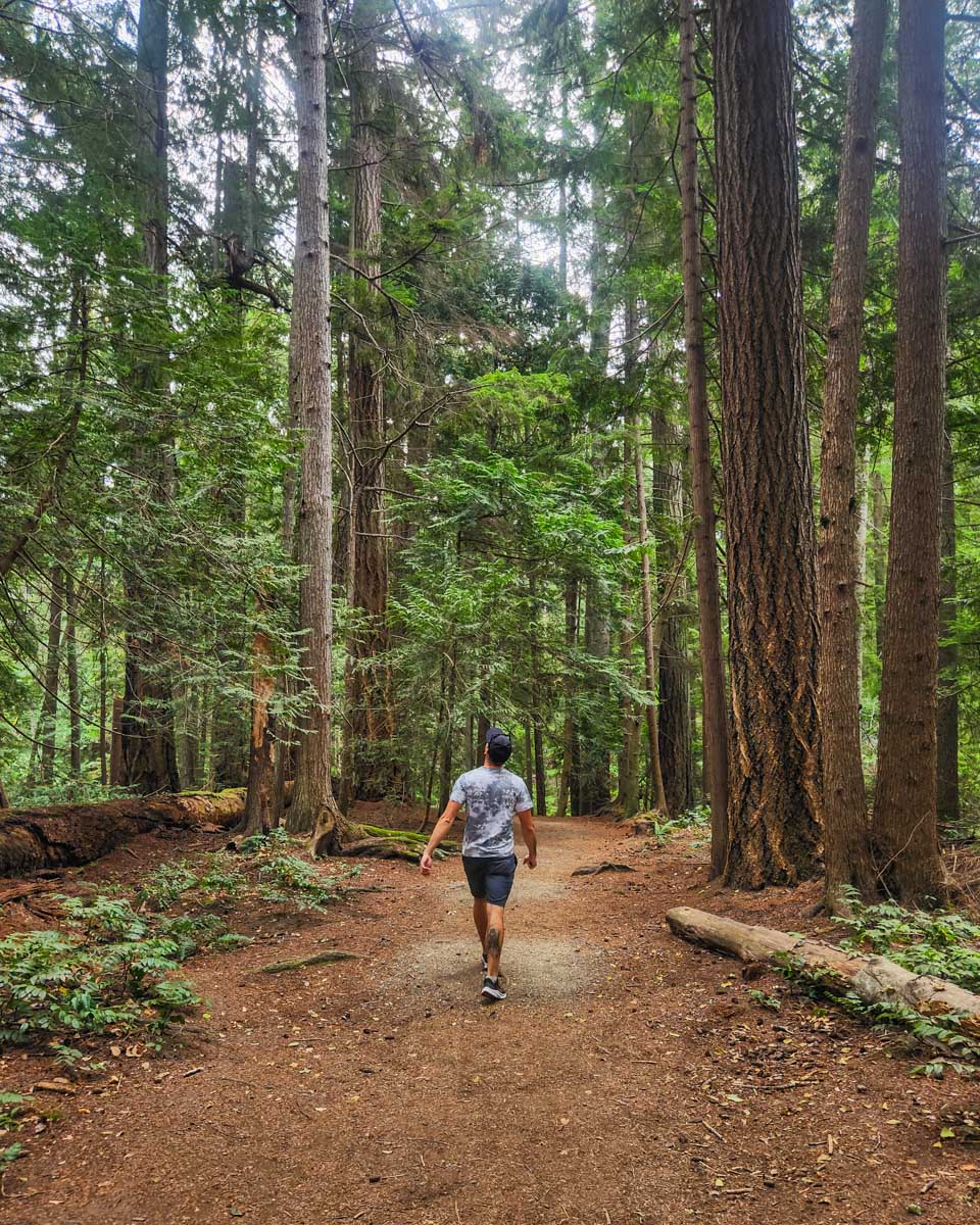 Daniel hiking in the Heritage Forest in Qualicum Beach