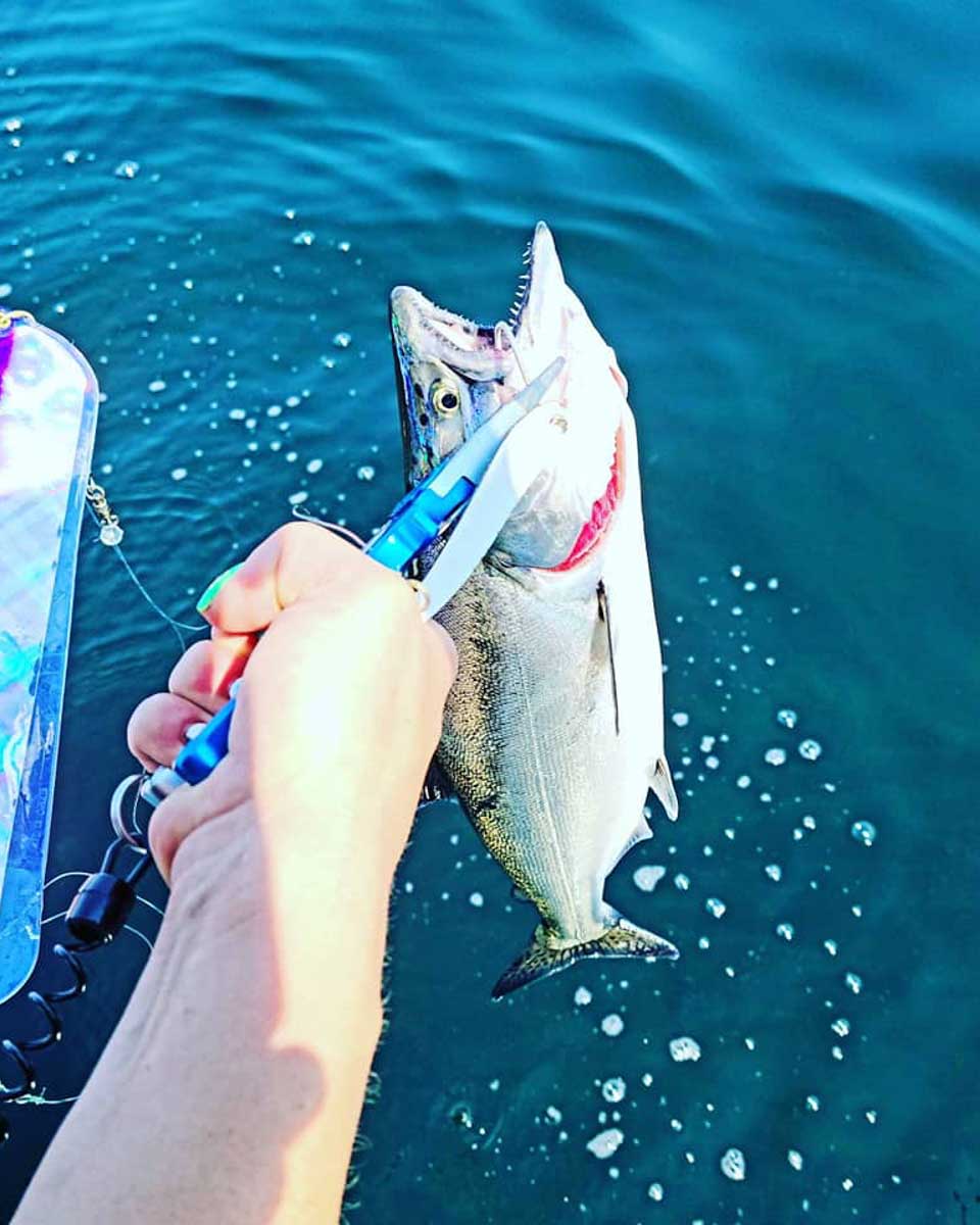 A fish caught on a tour in Parksville