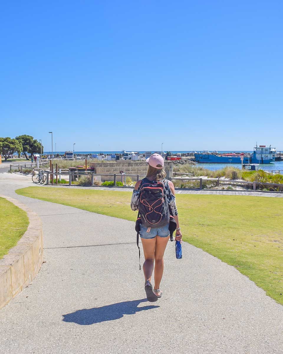 Bailey walks along a path on Rottnest Island