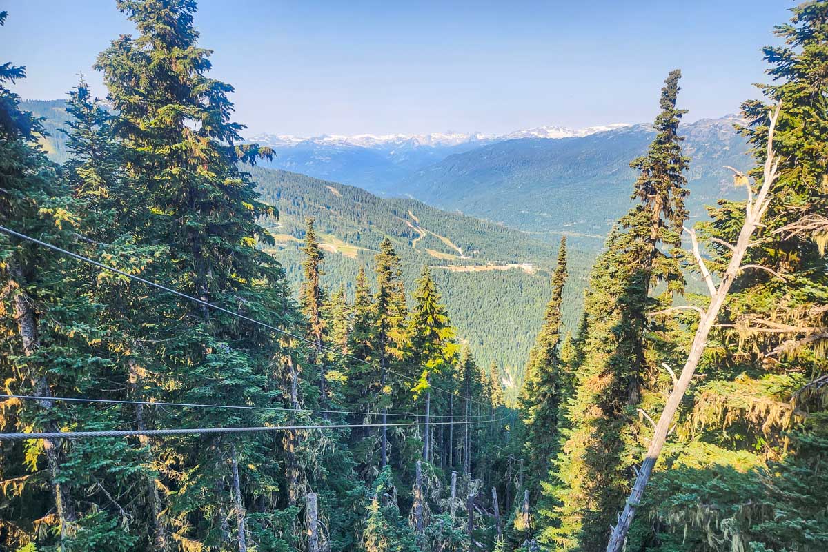 Looking down The Sasquatch Zipline in Whistler