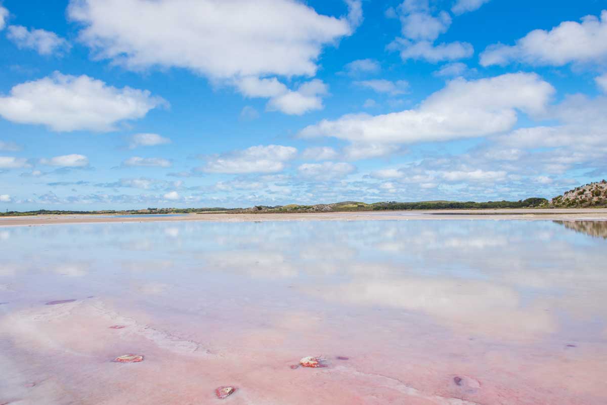 The Pink Lake as seen on the Gabbi Karniny Bidi hike on Rottnest Island