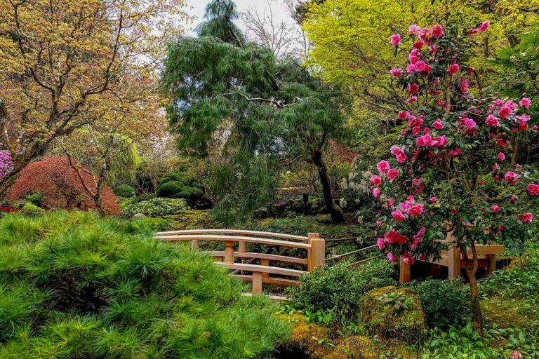 A beautiful bridge within The Butchart Gardens