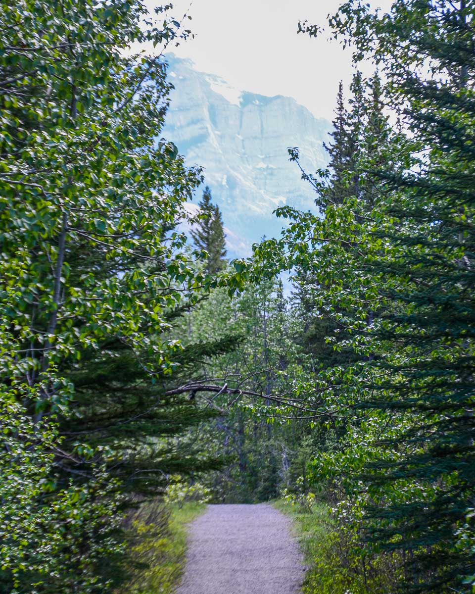 A narrow trail in Bow Valley Provincial Park, Alberta