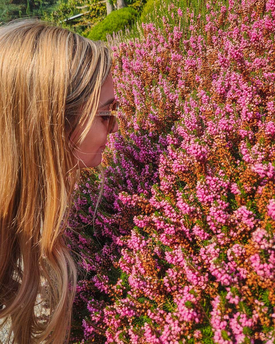 Bailey smells some flowers at The Butchart Gardens