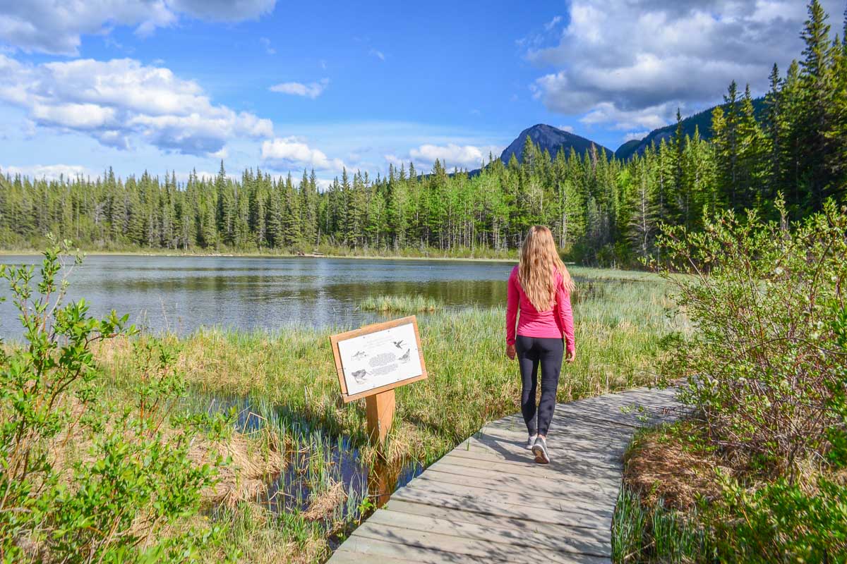 Bailey walks a boardwalk around Many Springs in Bow Valley Provincial Park, Alberta