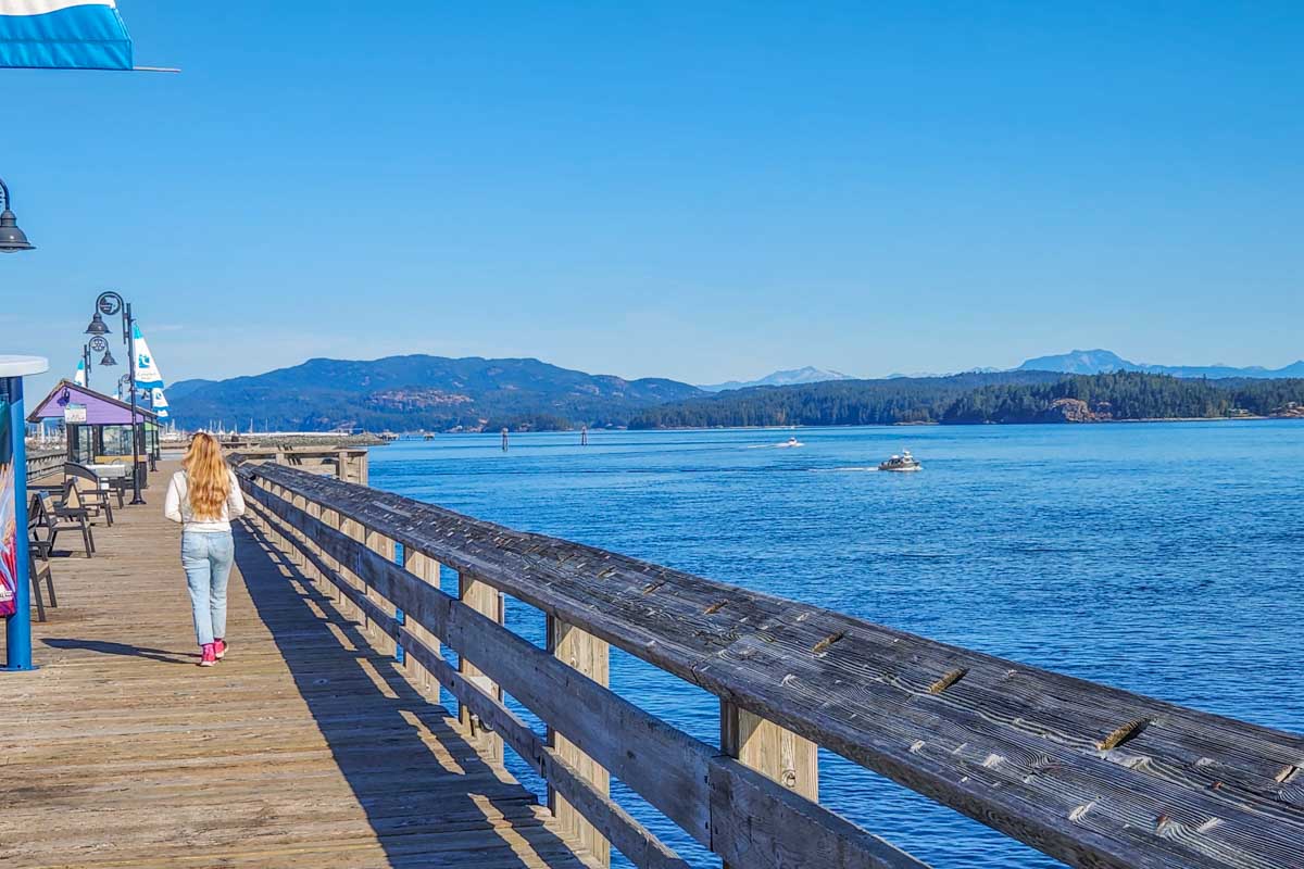 Bailey walks the wharf in Campbell River, BC