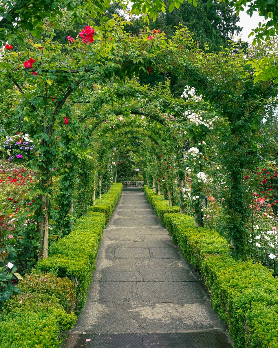Beautiful garden arches at The Butchart Gardens in Victoria, BC
