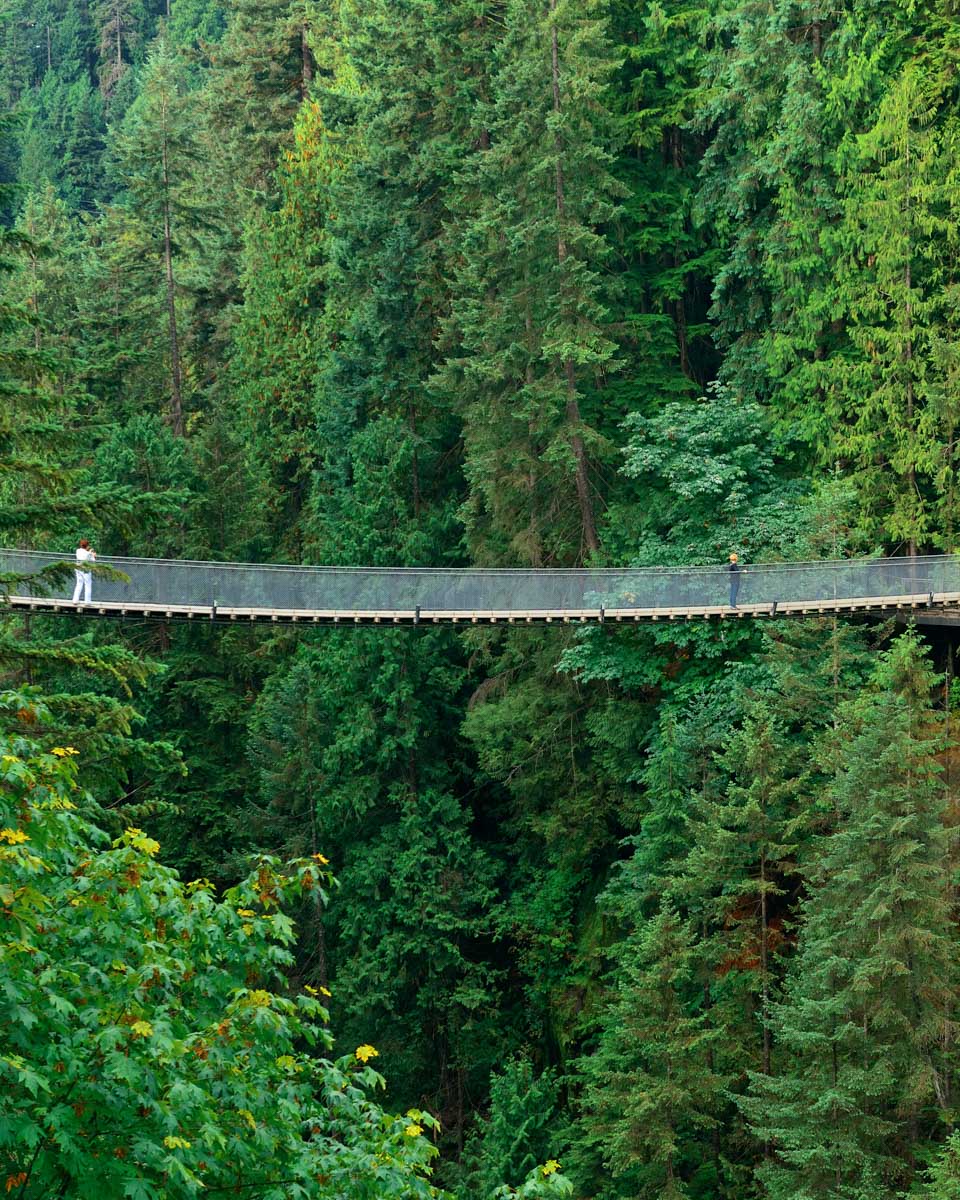 People walk accross the Capilano Suspension Bridge in Vancouver