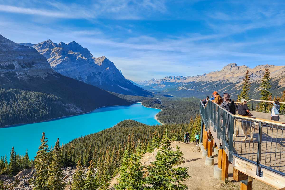 Peyto Lake Viewpoint in Banff National Park, Canada overlooking Peyto Lake on the Icefields Parkway
