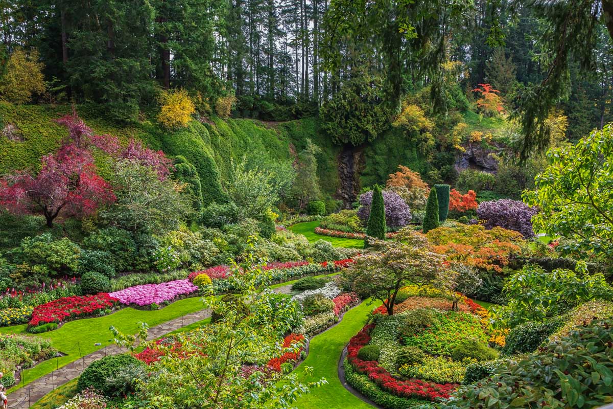 Stunning gardens and paths at The Butchart Gardens in Vancouver Island, BC