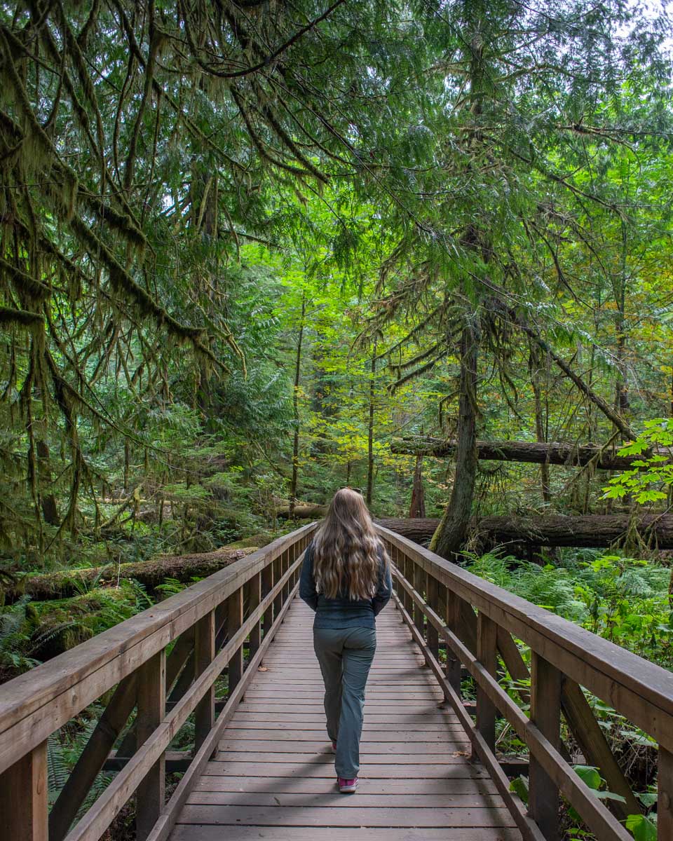 The boardwalk at Cathedral Grove, Vancouver Island