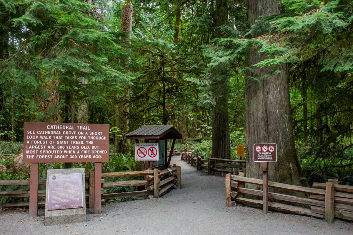The entrance to Cathedral Grove and the trail on Vancouver Island, Canada