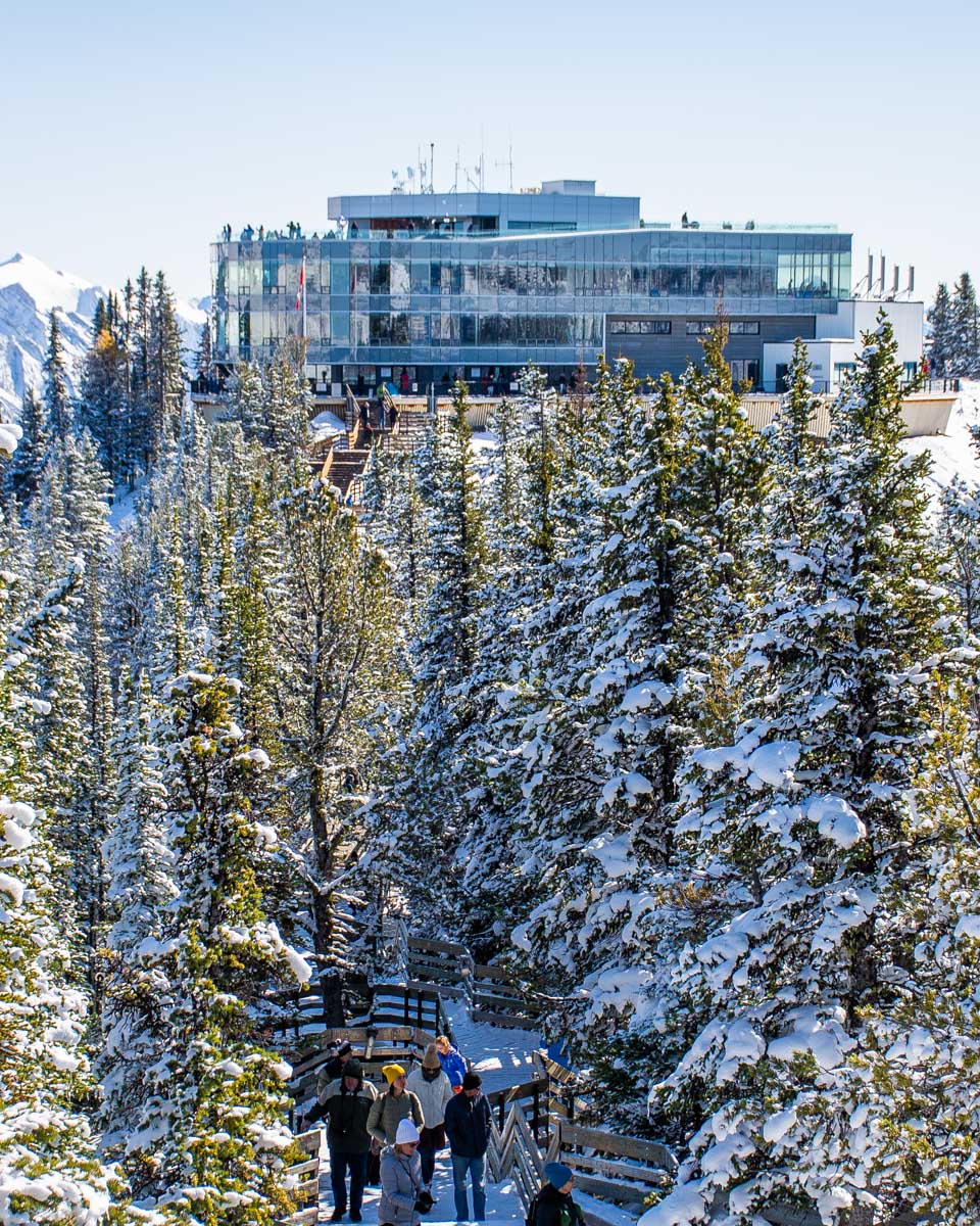 The top of Sulphur Mountain in Banff National Park