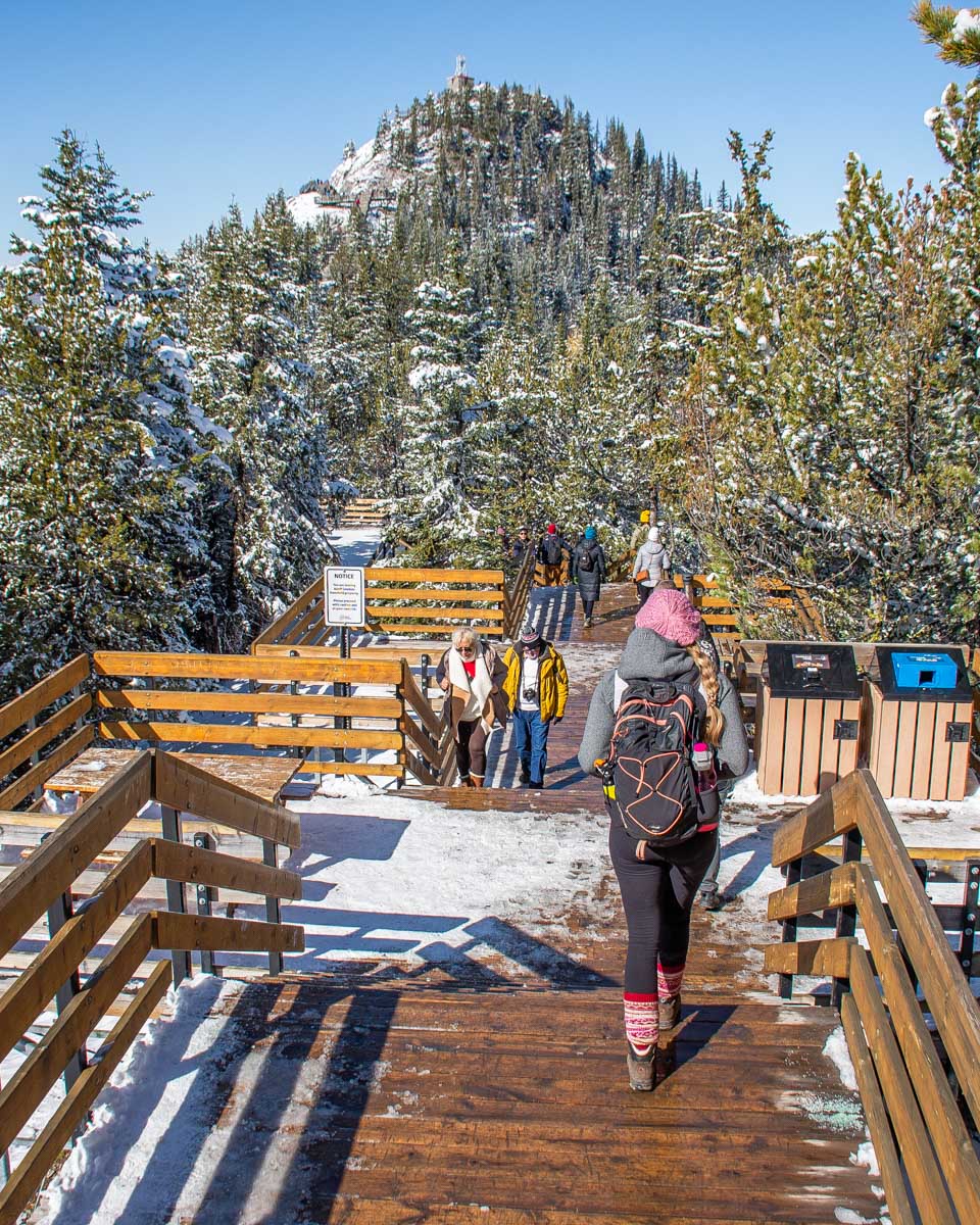 Walk the boardwalk to Sanson's Peak and the Sulphur Mountain Cosmic Ray Station