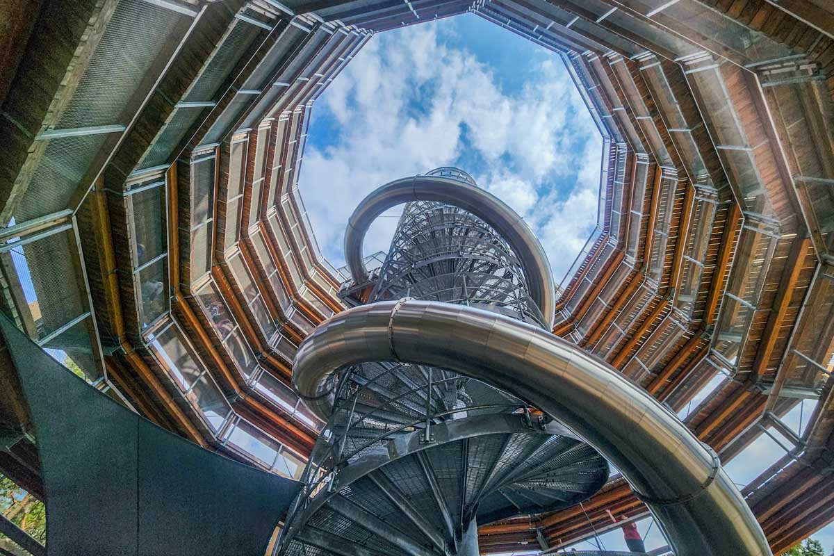 A view looking up at the Malahat Skywalk in Malahat, British Columbia