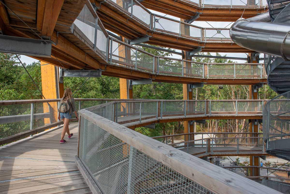 Bailey enjoys the walk up the Malahat Skywalk in Malahat, British Columbia