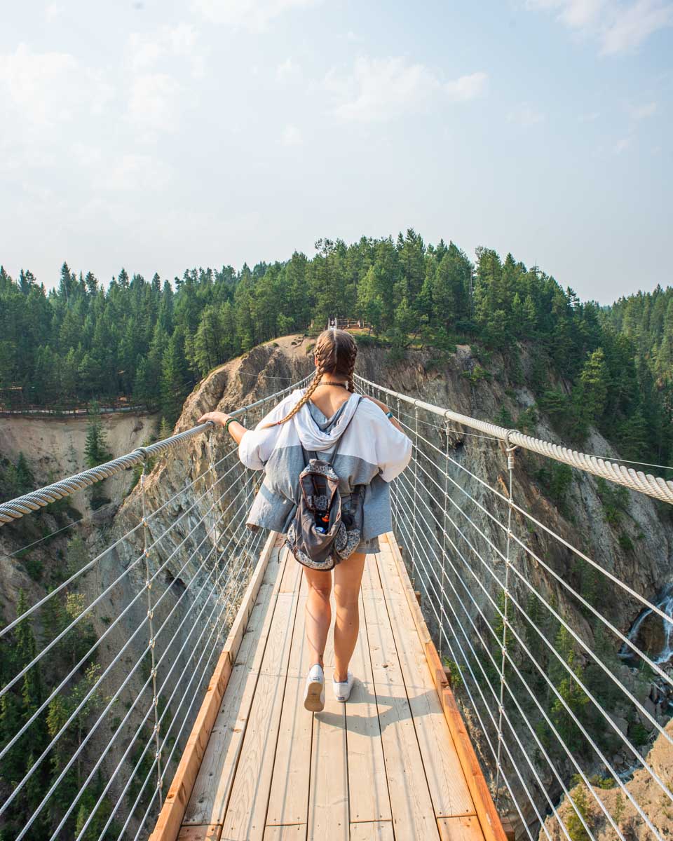 Bailey walks away from the camera at the Golden Suspension Bridge in Golden, BC