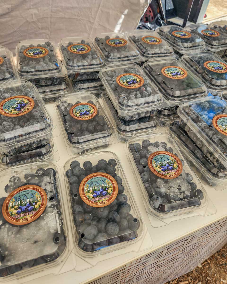 Blueberries at the farmers market in White Rock, BC