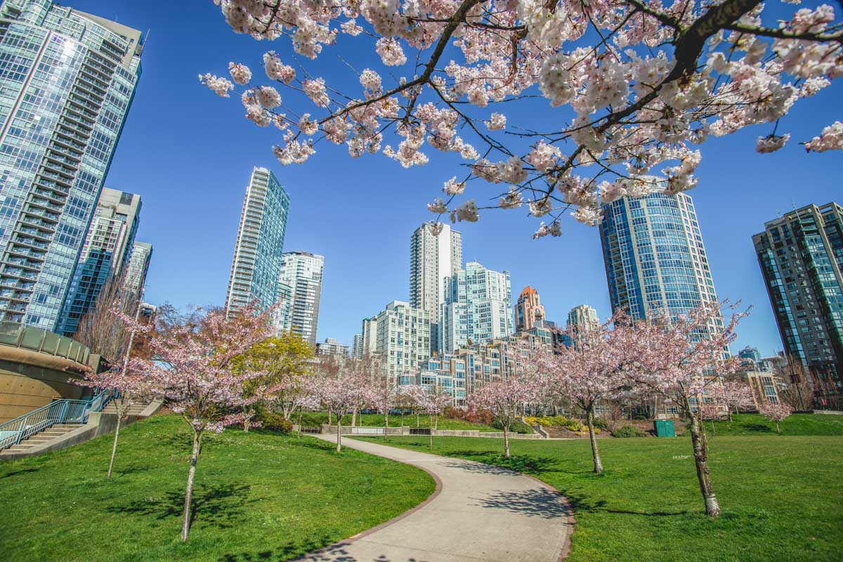 David Lam Park in Yaletown, Vancouver during spring!