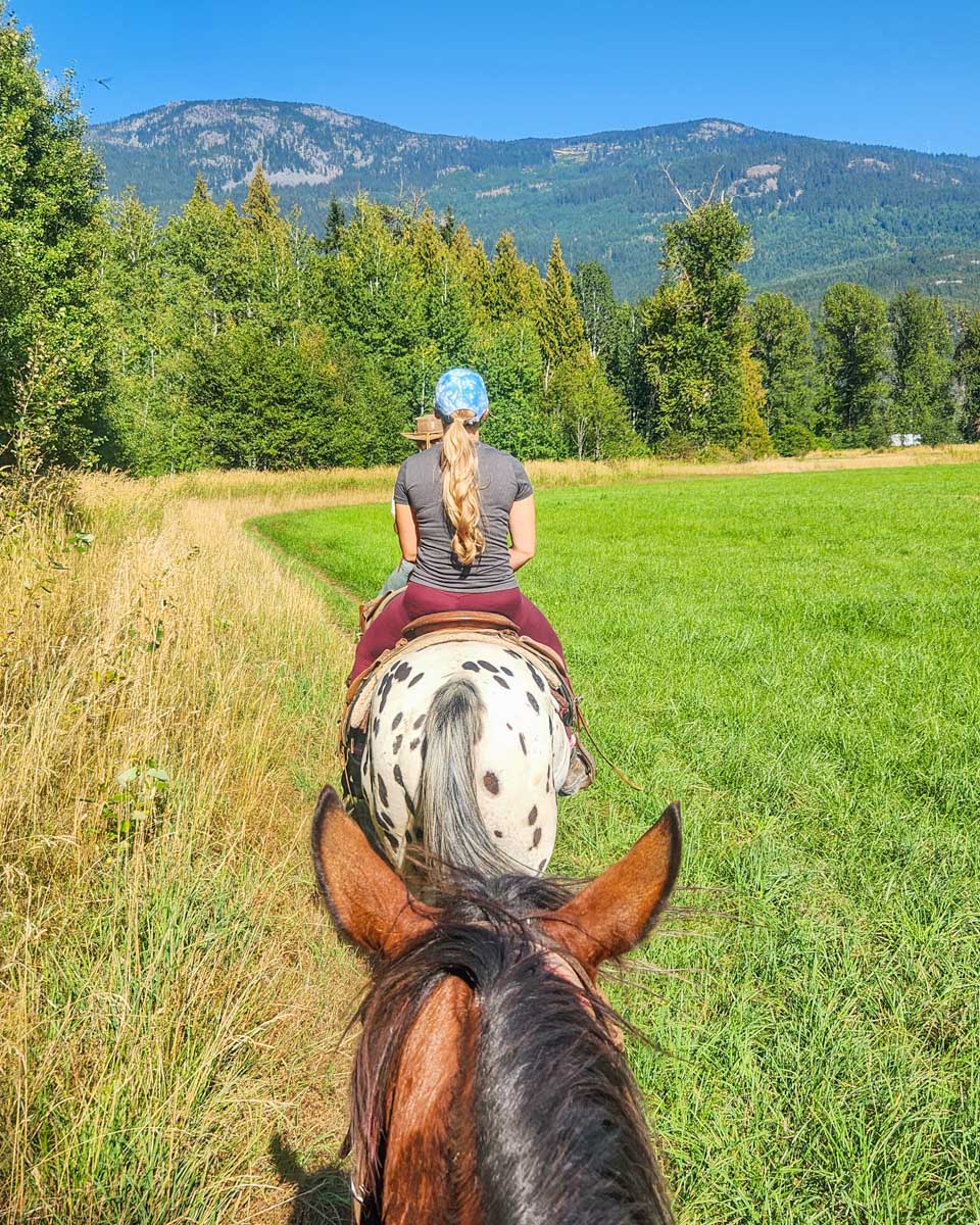 I ride my horse behind Bailey on a tour in Pemberton BC