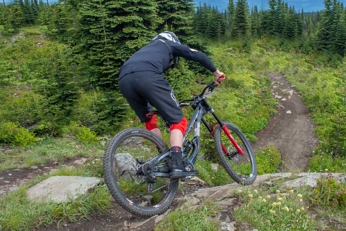 Mountain biking at Fernie Alpine Resort