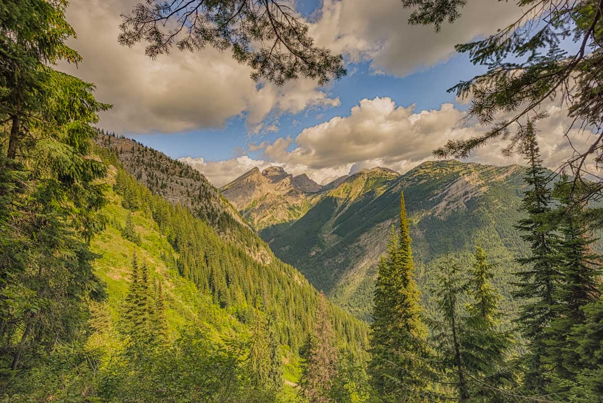 View of the mountains up Mount Fernie in Fernie, BC