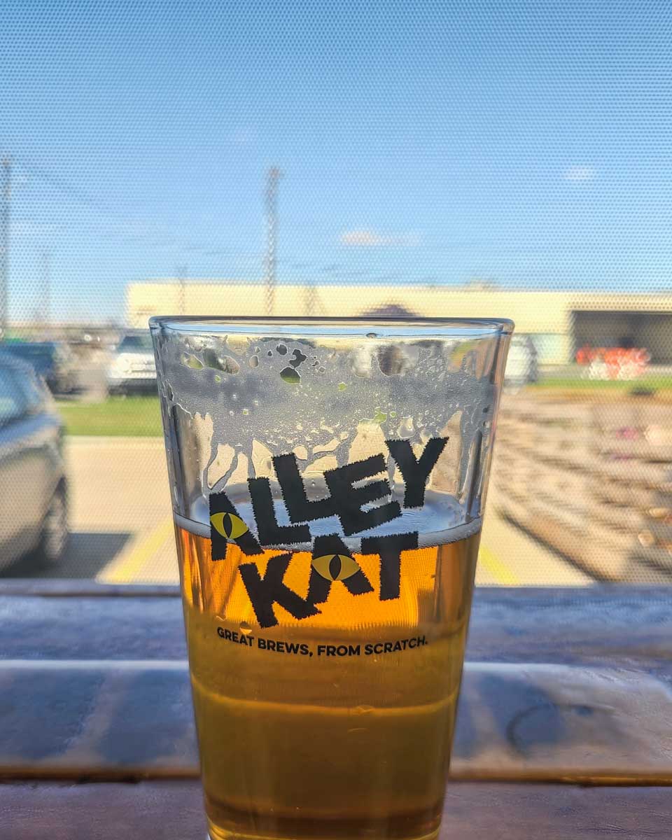 A beer from Alley Kat Brewing in Edmonton