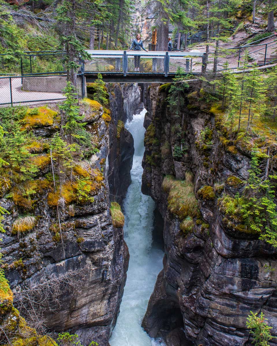 A bridge in Maligne Canyon over a waterfall during summer in Jasper