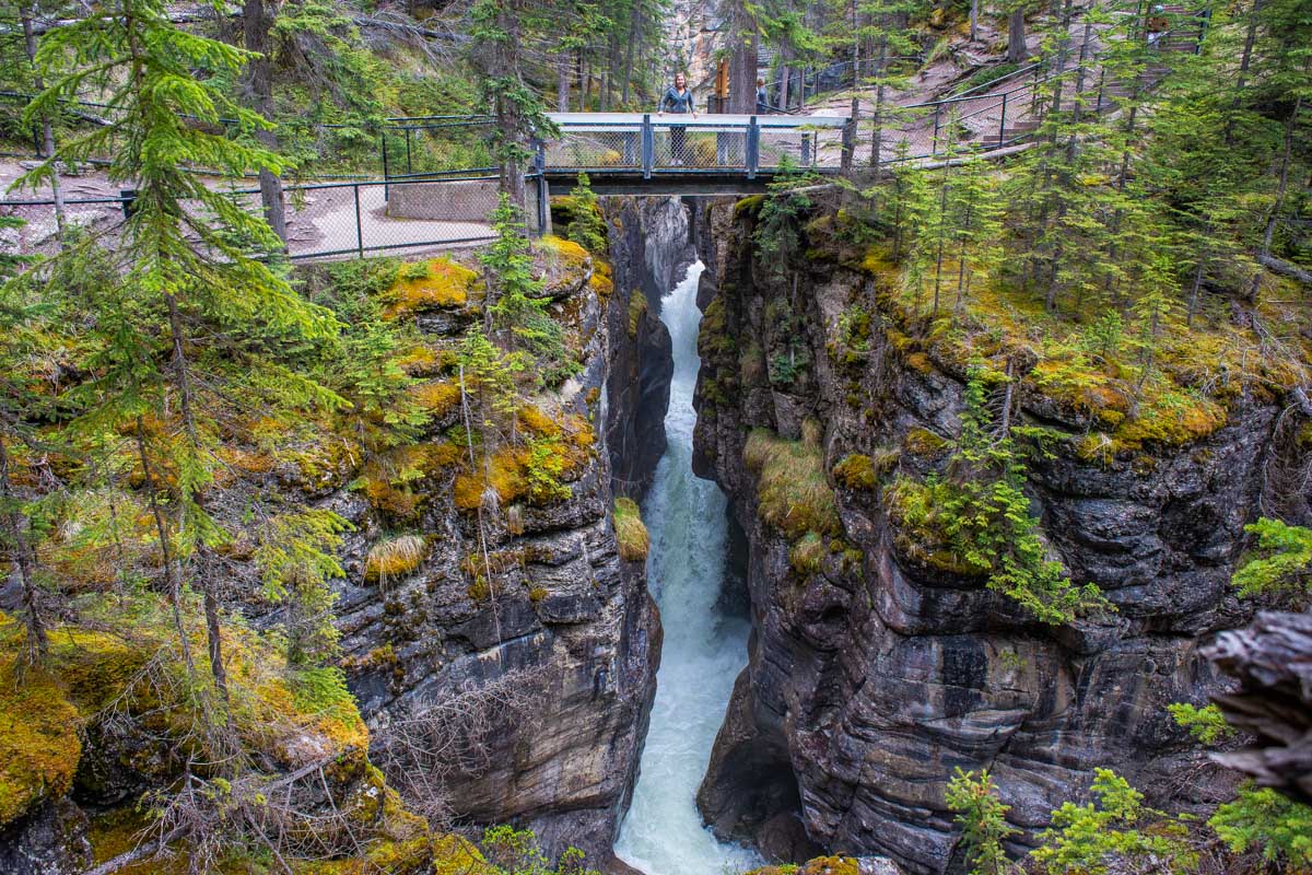 A bridge over Maligne Canyon during summer in jasper