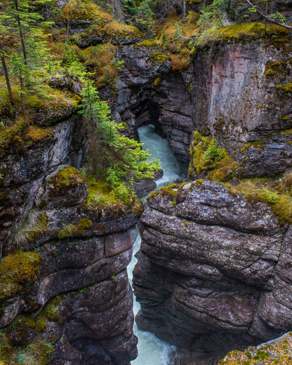 A waterfall rushes through Maligne Canyon in summer in Jasper