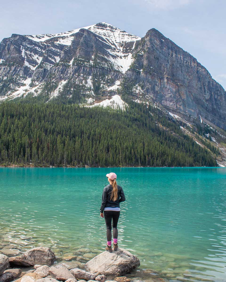 Bailey looks at Lake Louise from the edge of the lake