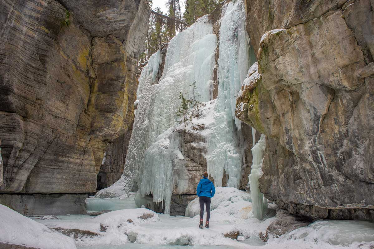 Bailey looks up at a frozen Waterfall in Maligne Canyon in Jasper National Park