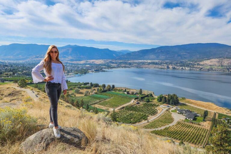 Bailey overlooks the vineyards in Naramata Bench, Penticton