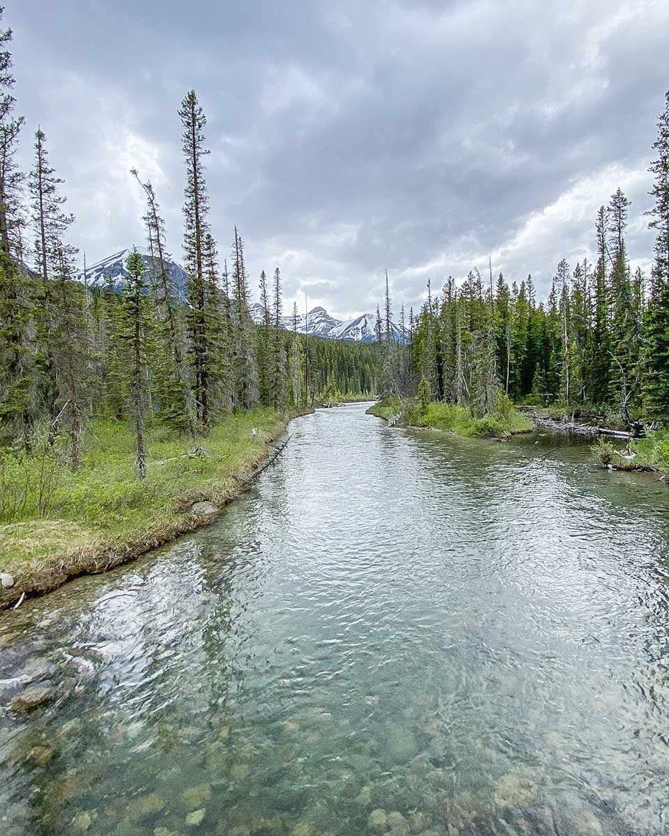 Bow River Loop Trail in Lake Louise, Banff