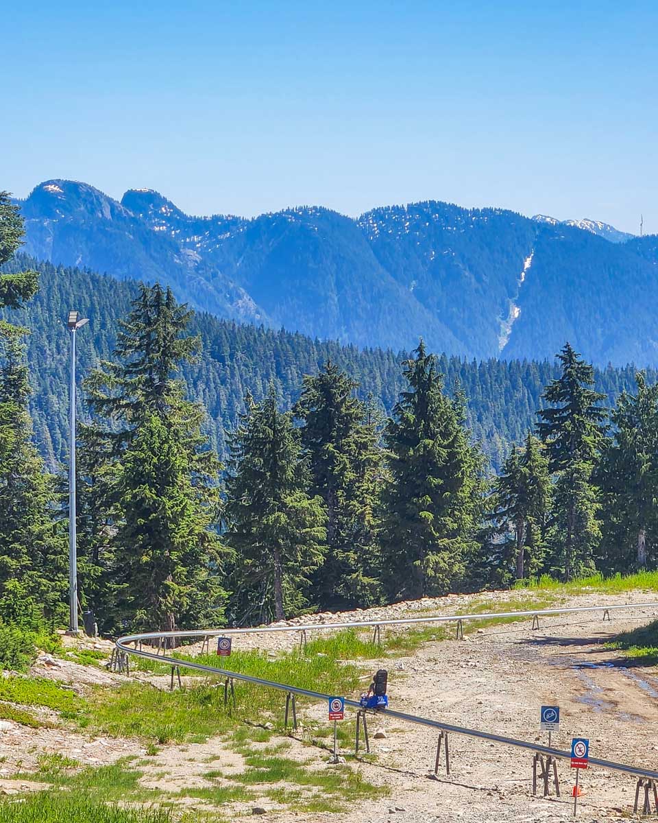 Cypress Eagle Coaster