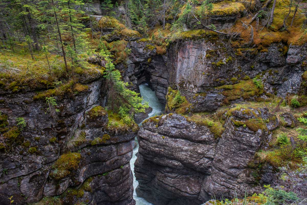 Maligne Canyon Jasper