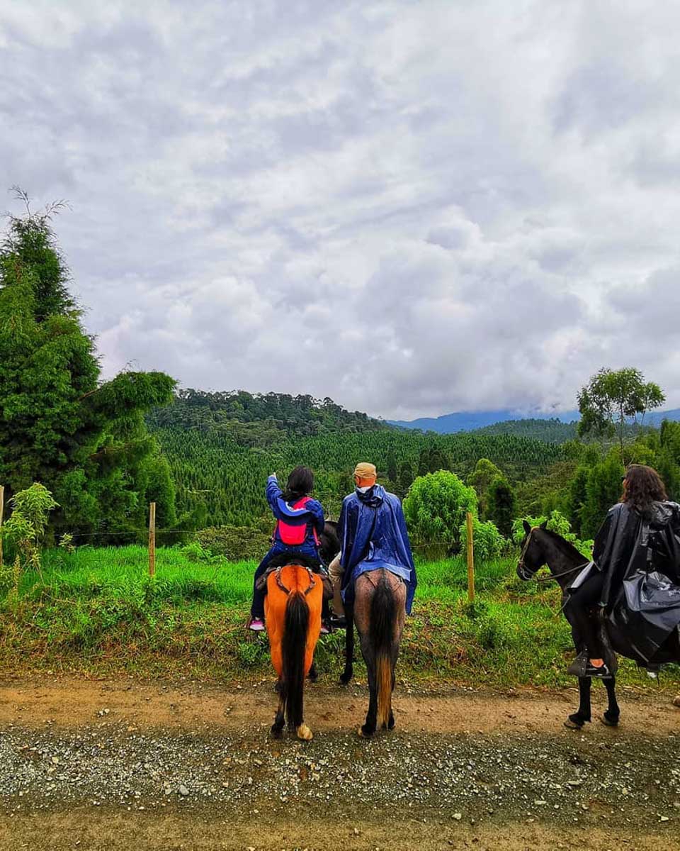 Medellin Day Trips horseback riding