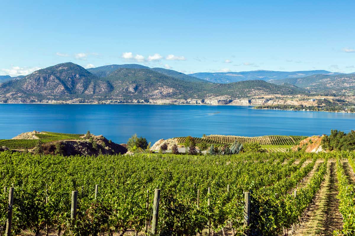 Scenic views of a winery and the lake in Naramata Bench, Penticton