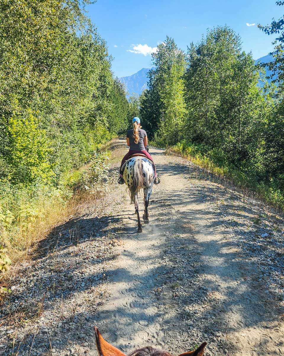 Bailey and Daniel ride horses along a gravel road in Banff