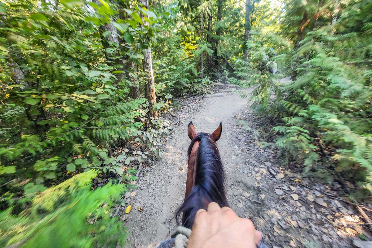 Daniel rides a horse through the forest on a horseback riding tour in Banff