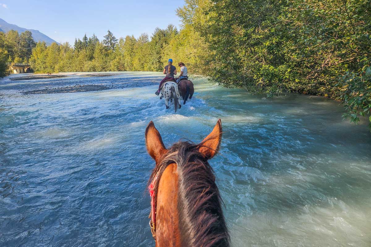 Riding a horse in the Bow River in Banff National Park
